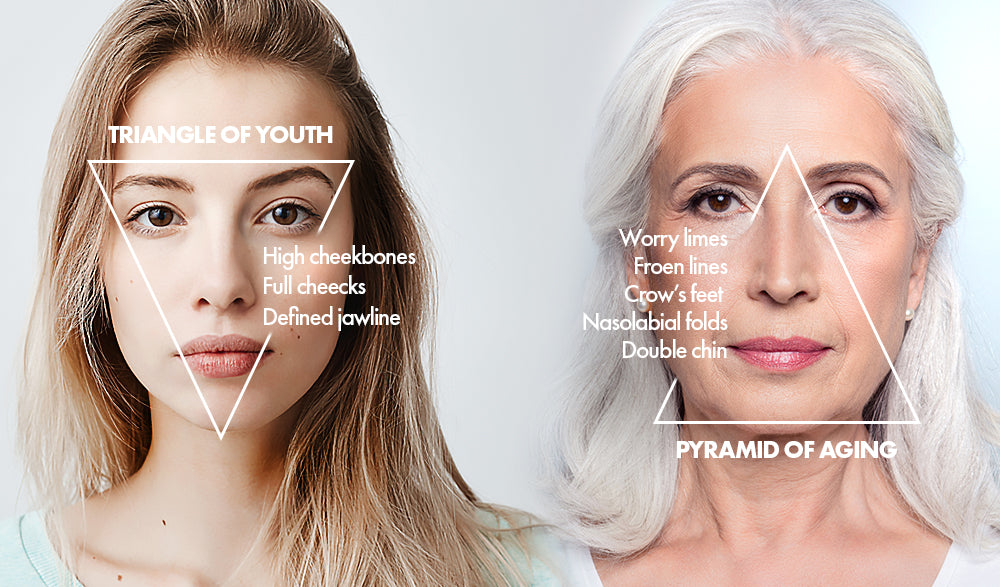 Triangle of youthwith Pyramid of aging