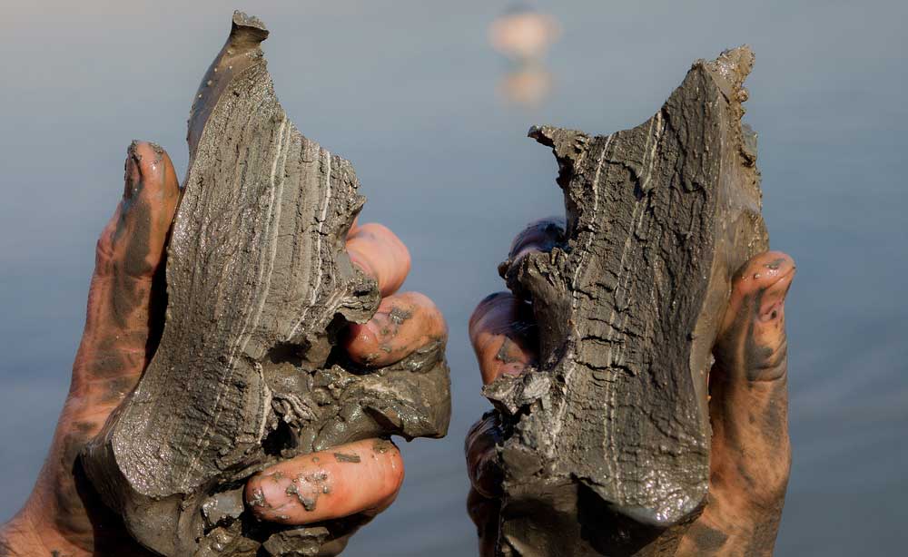 Dead sea mud for skin