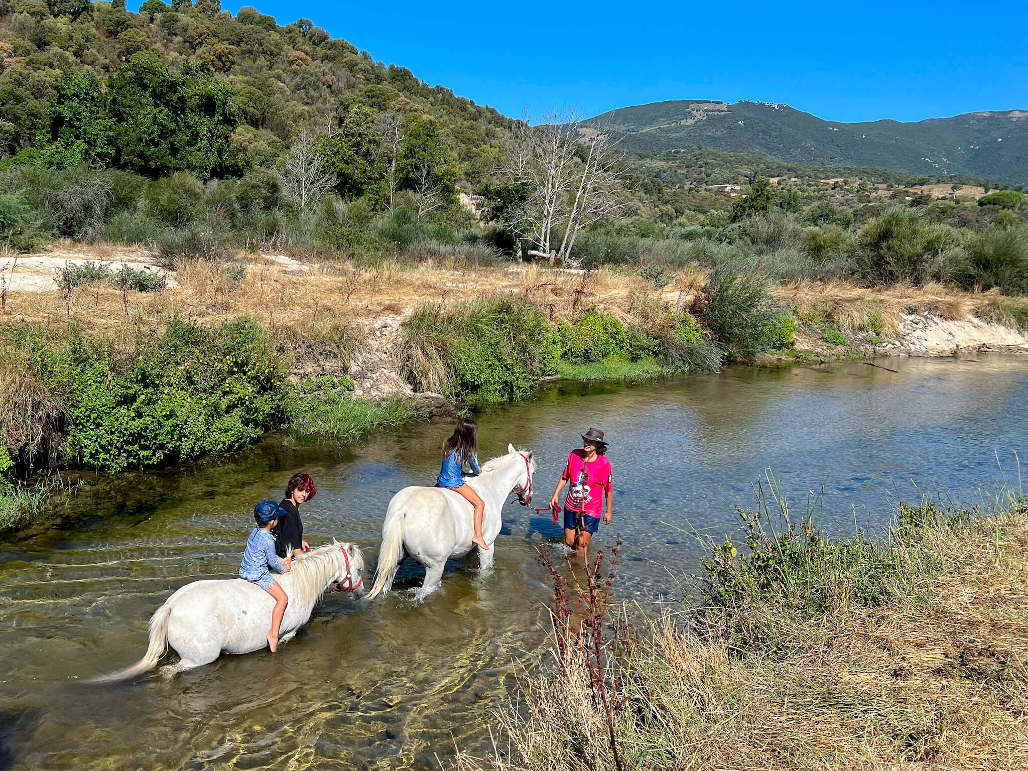 Corsica pony ride