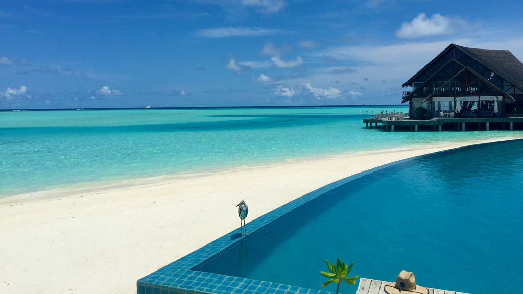Maldives pool