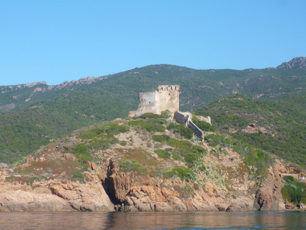 Corsica Genoa tower