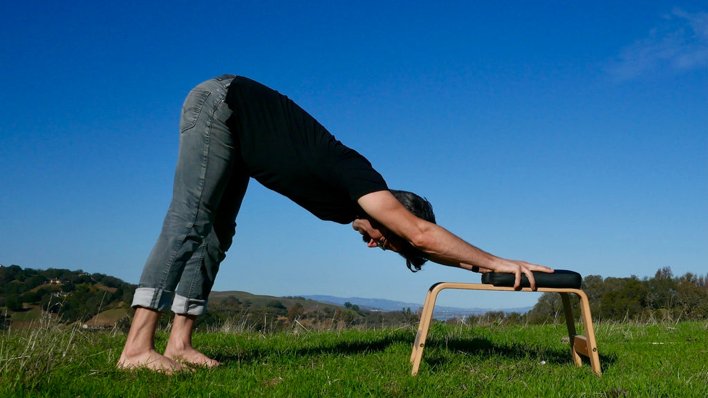 Extended Downward Facing Dog with FeetUp Trainer Outdoors