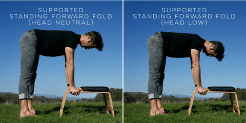 supported standing forward fold head positions
