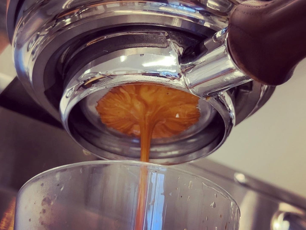 pulled espresso shot from a bottomless portafilter