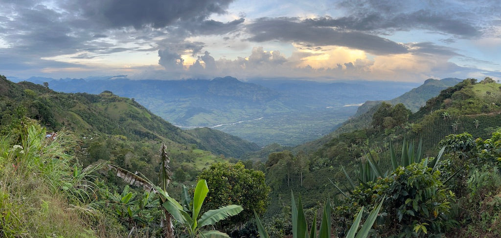 View of mountains from coffee farms in Jerico, Antioquia