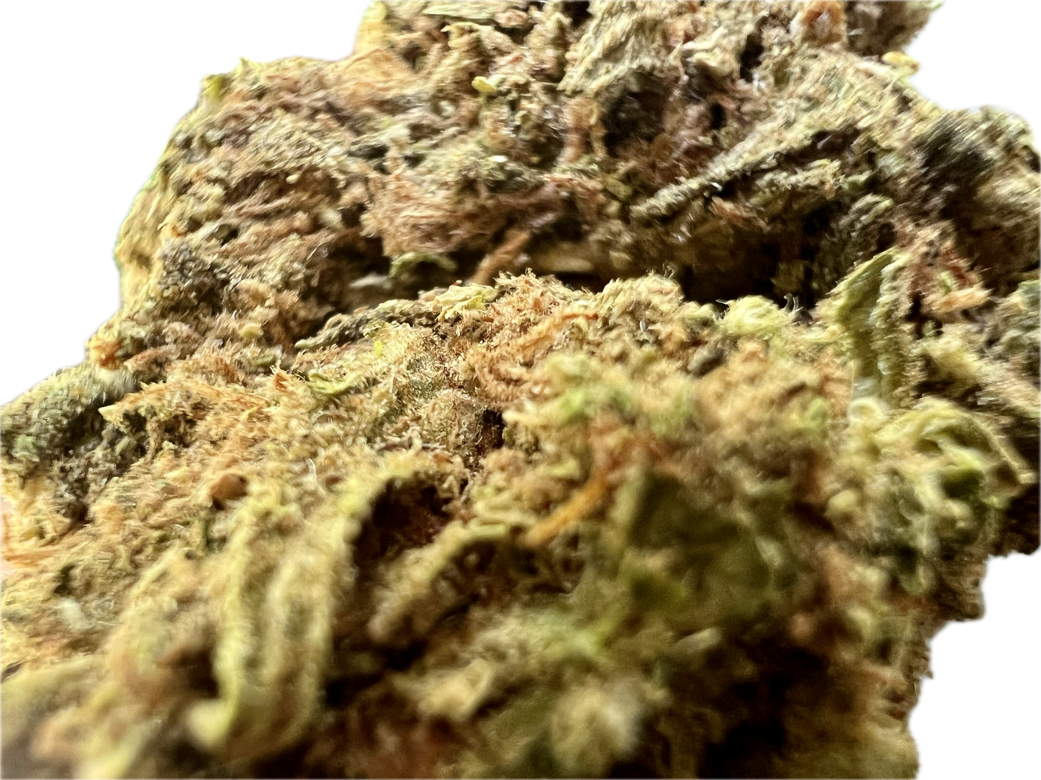 Ripkitty Runtz OG Bud Shot 3