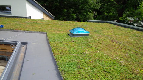 Grufekit Green roof 