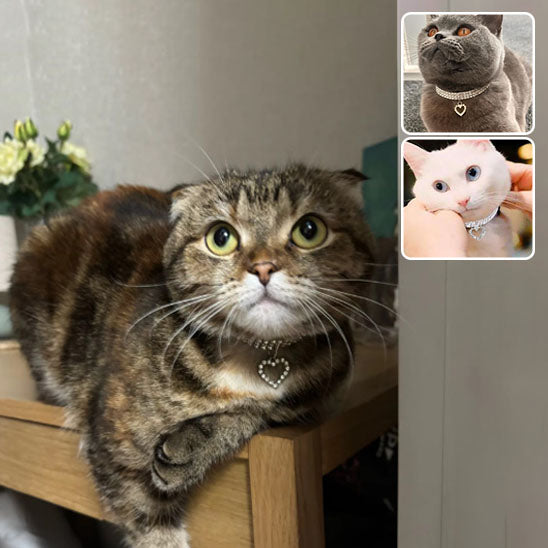 Collier-pour-chat-leger