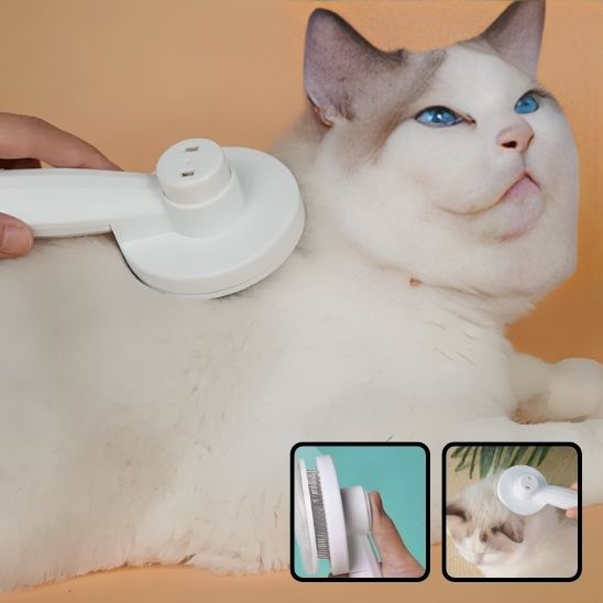 brosse-pour-chat-simple