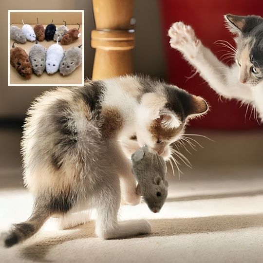 jouet-pour-chat-interactif