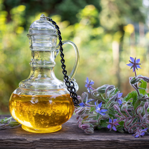 Benefits of borage oil for your hair | Pastel Professional Hair Therapy