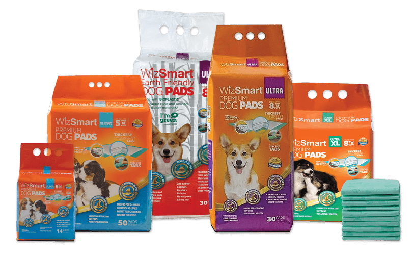 wizsmart dog pee pads