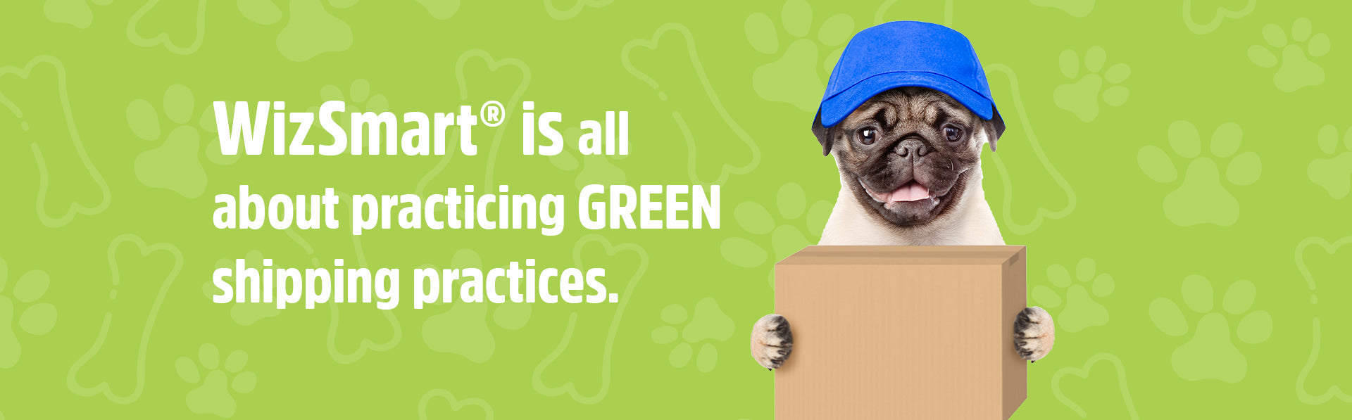 WizSmart Green Practices