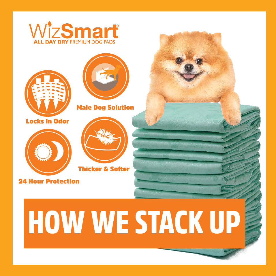 wizsmart dog pee pads stack up