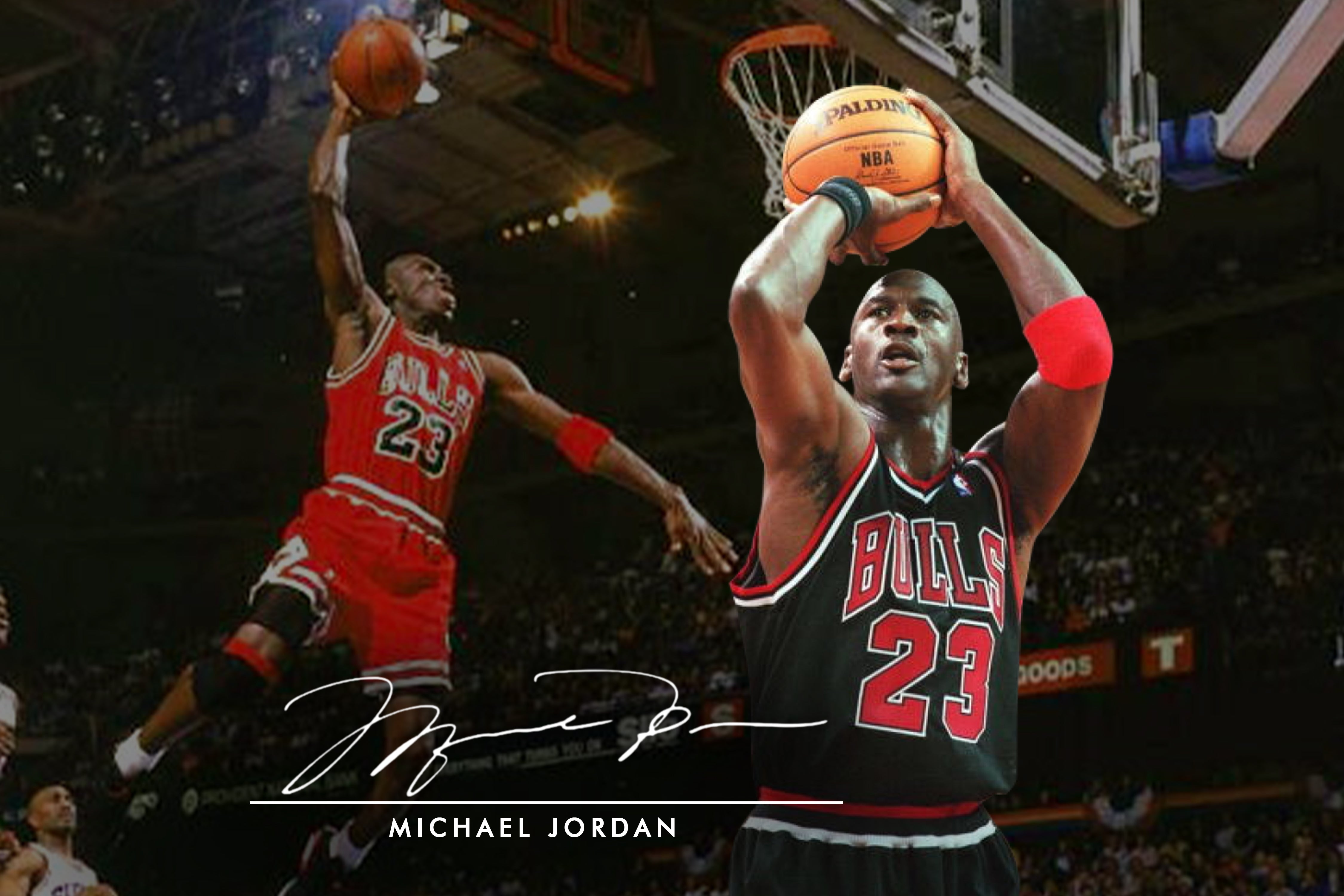 Michael Jordan Signature | Artlogo