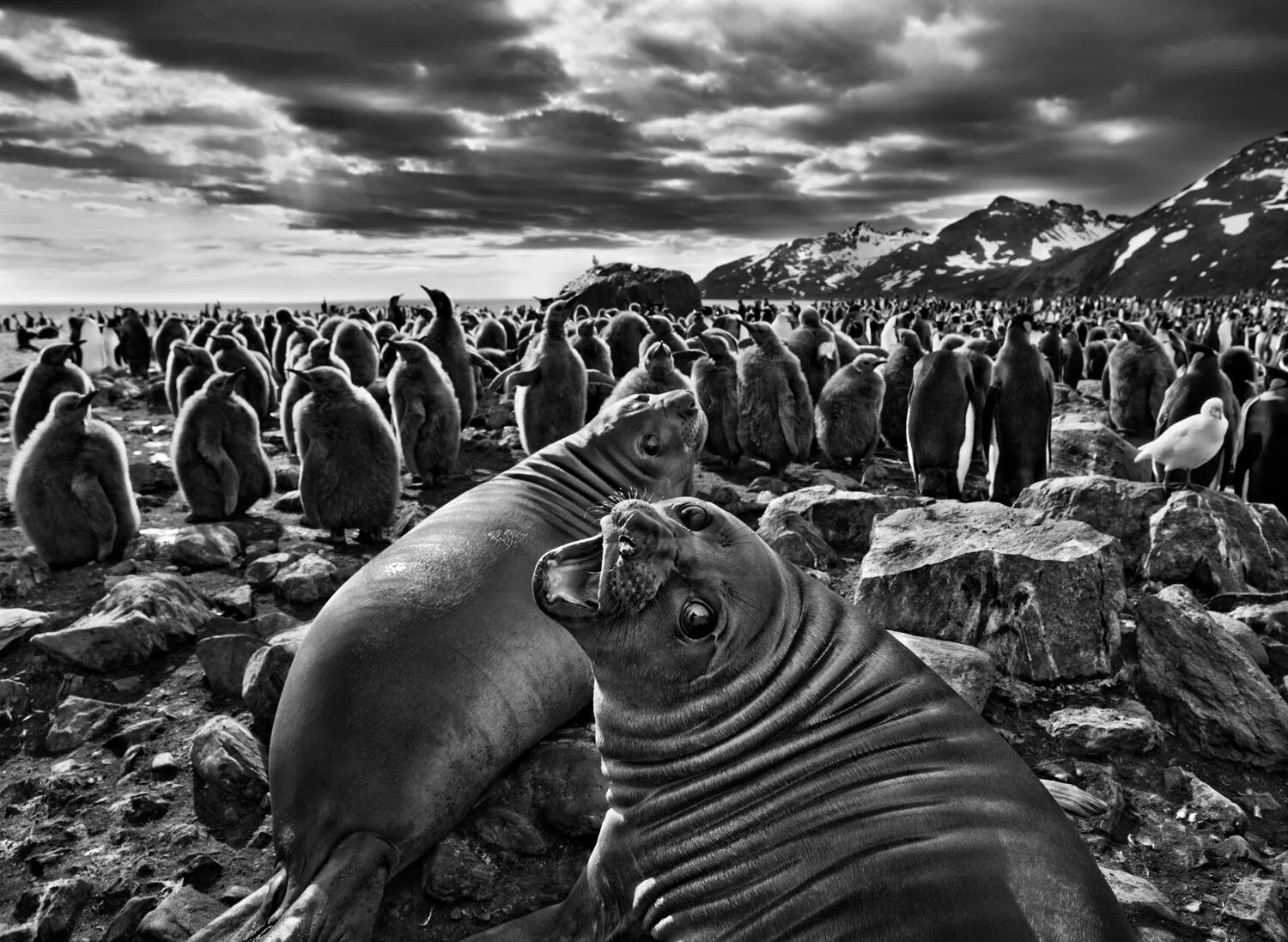 Os fotógrafos mais famosos que capturaram momentos eternos da história