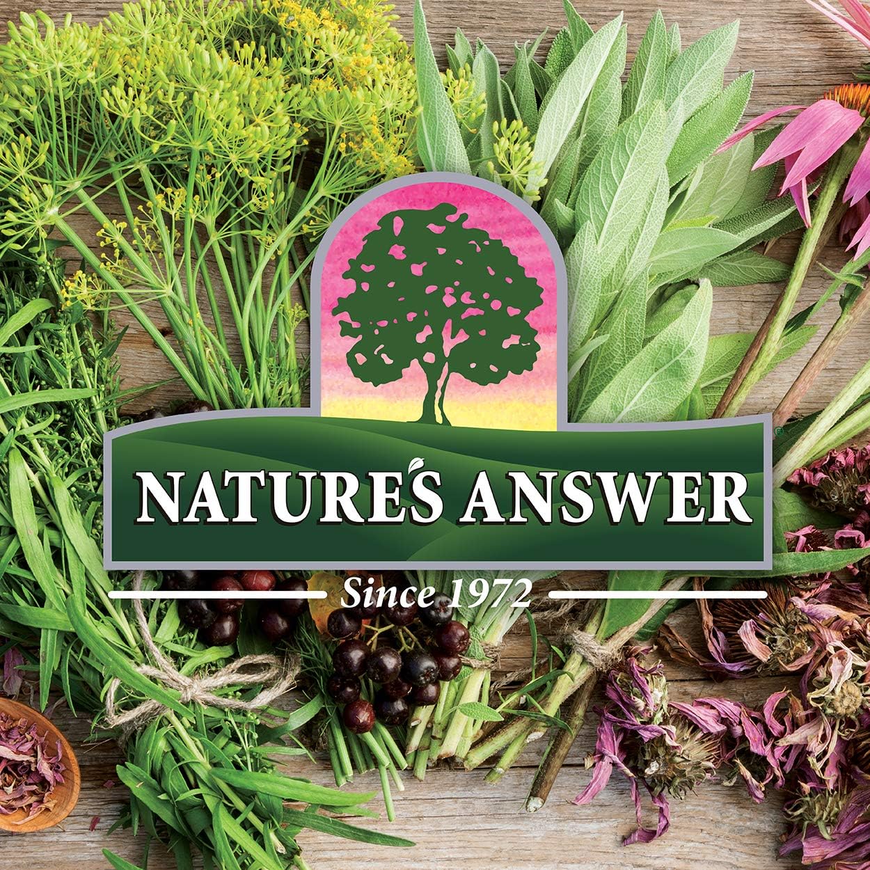Nature's Answer - Eleuthero Root Alcohol Free