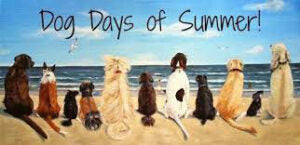 dog-days-of-summer-1