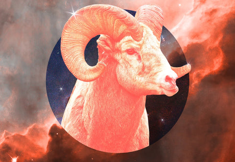 Photo of a ram's head, the symbol of the astrological sign Aries.