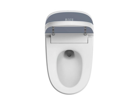 smart toilets with bidets