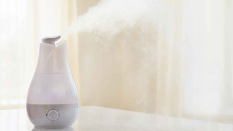 Un humidificador puede ayudar a prevenir un eccema.