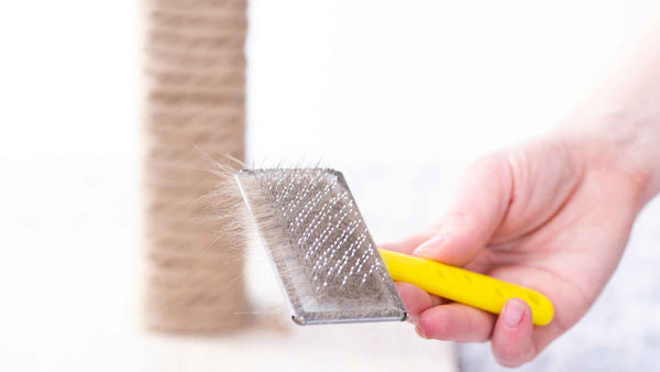 A person using a brush to clean a cat scratching post.
