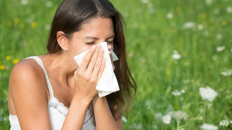 Allergies can causes itchy skin