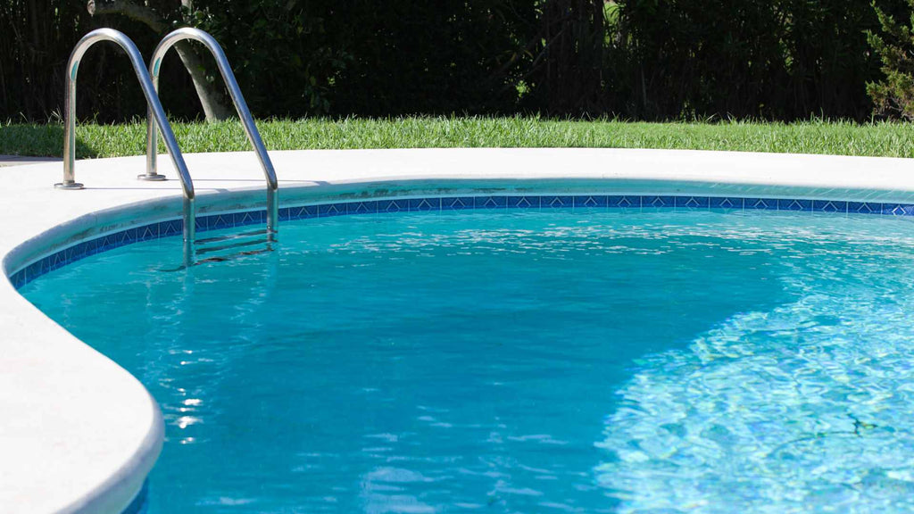 A curved in-ground swimming pool with clear blue water and a metal ladder, surrounded by a grassy area with visible pool coping and border tiles.