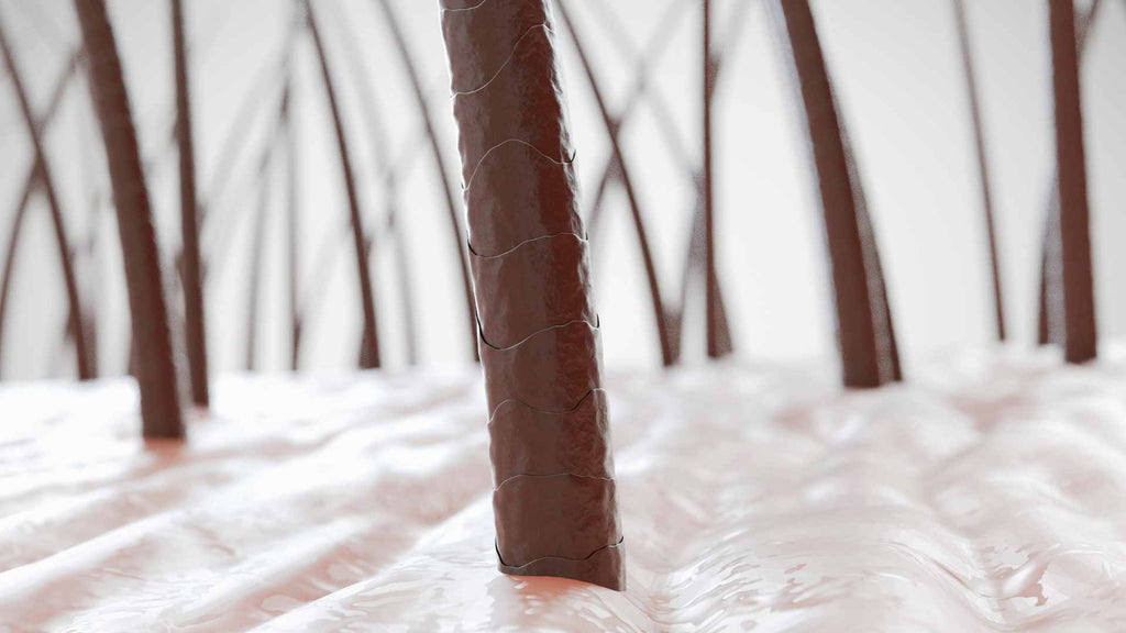 Close-up of chocolate truffles resembling a grove of trees with a blurred background.