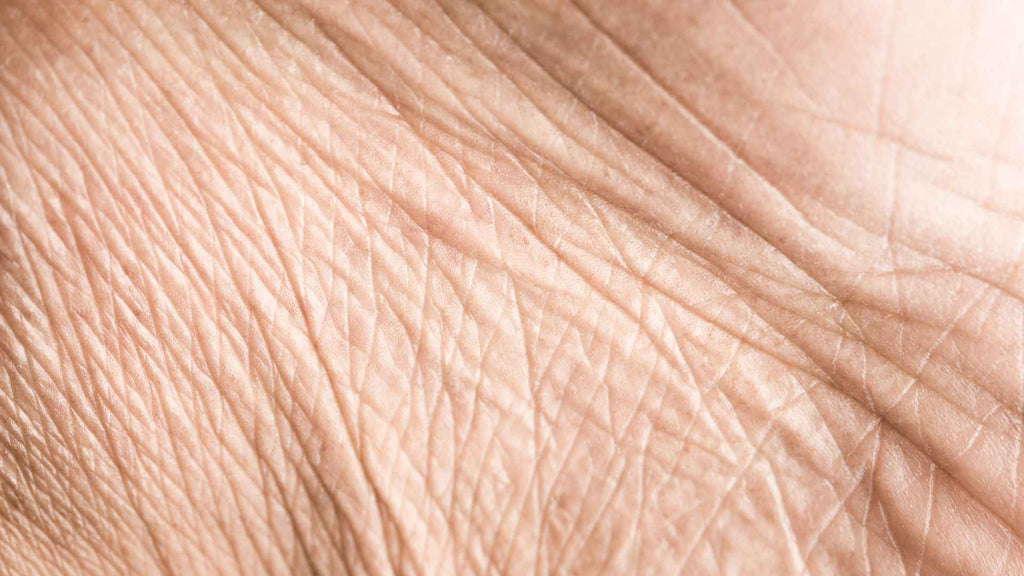 Close-up of human skin texture showing fine lines and creases.