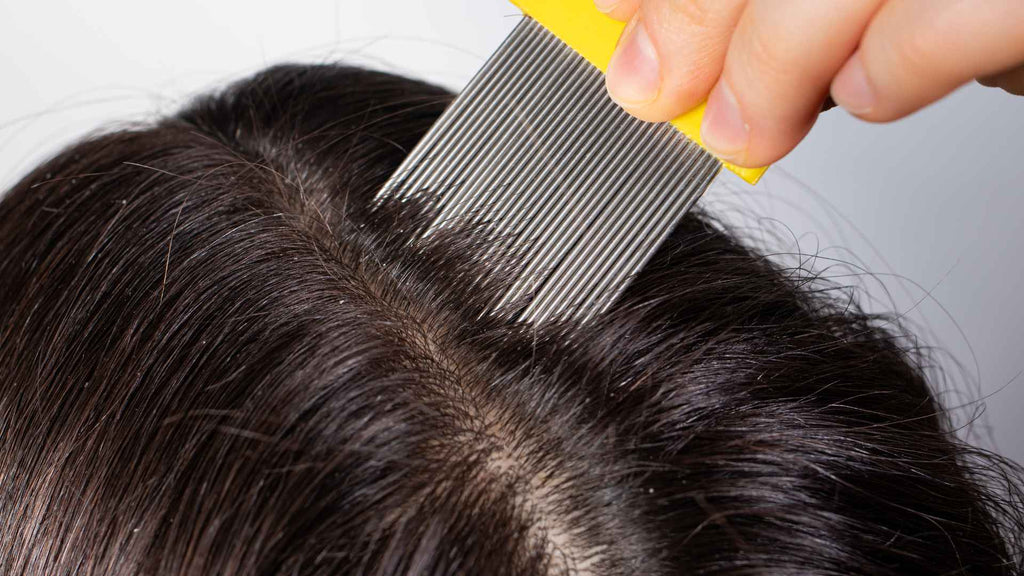 A close-up view of a hand using a yellow and metal lice comb to part and check through dark hair on a scalp.