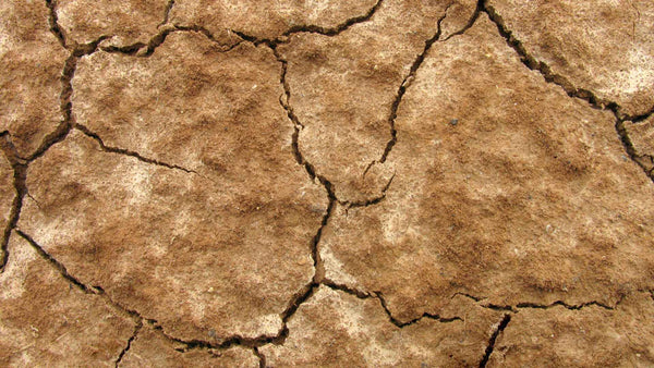 Dry, cracked lake bed