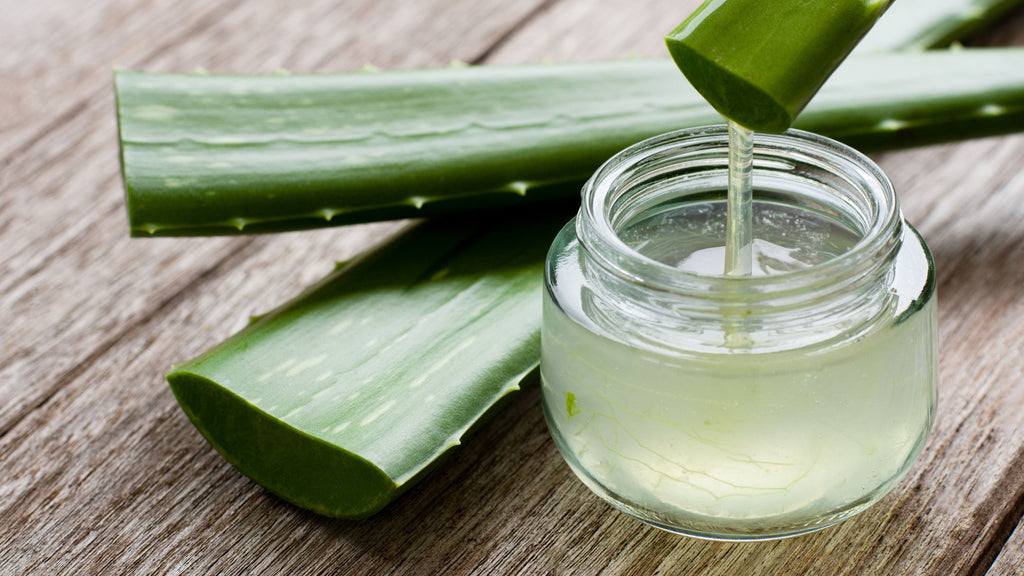 Aloe vera is being poured into a glass jar.