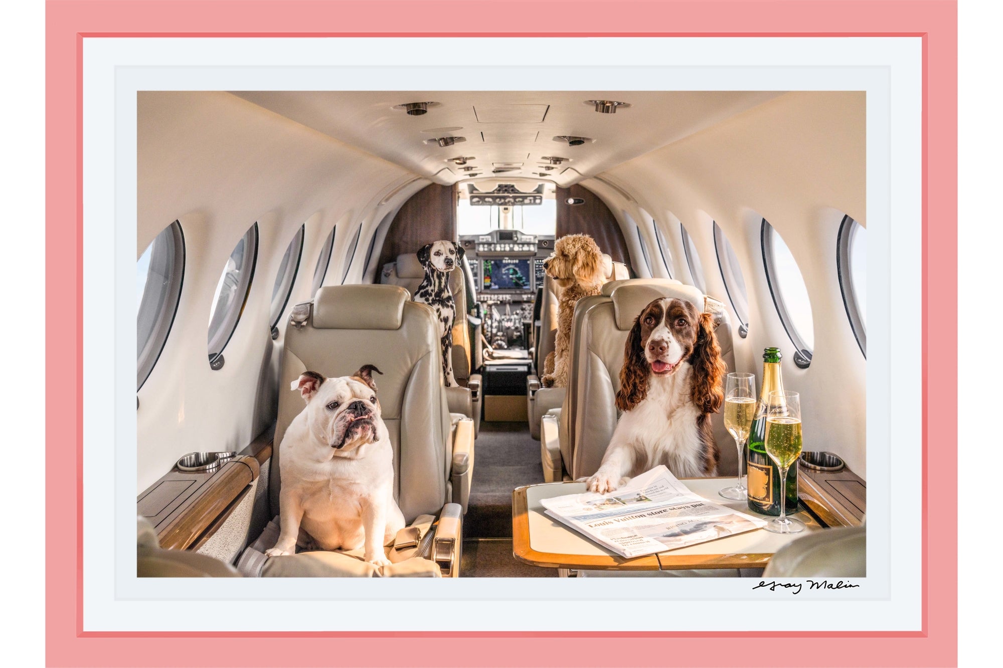 Private Jet, Palm Beach, Pink Frame