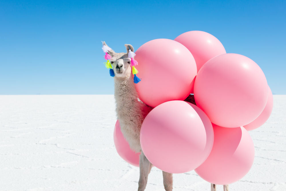 Llama With Pink Balloons And Tassels | Gray Malin