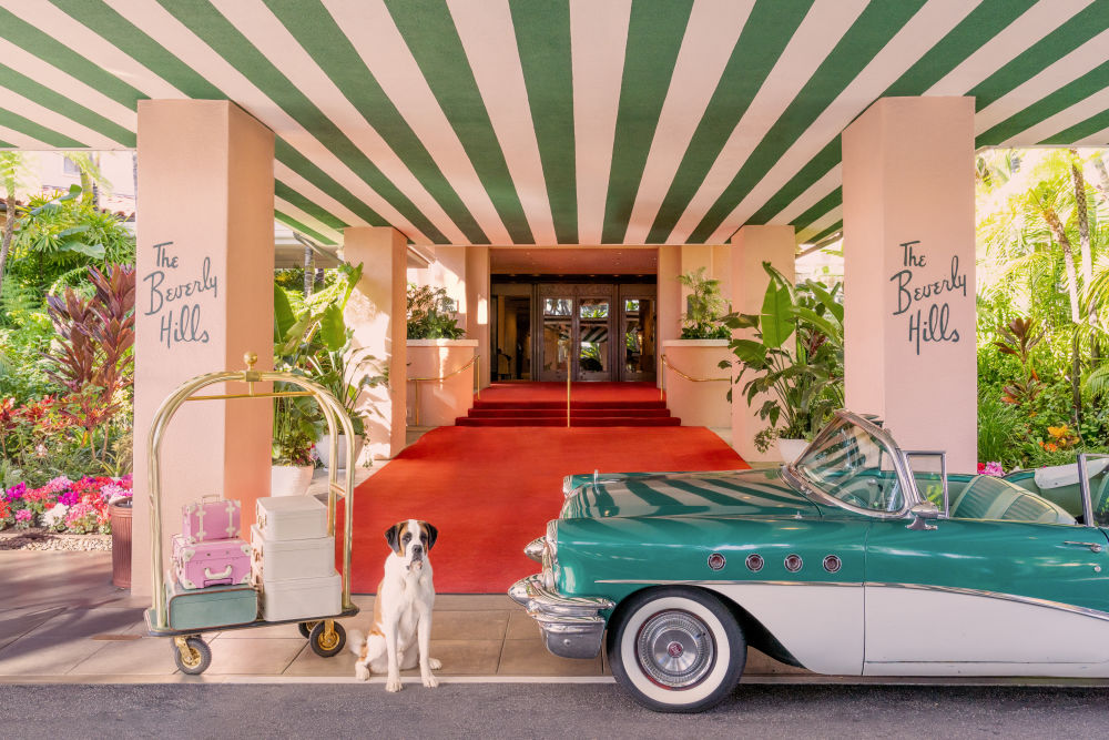 The Saint Bernard, The Beverly Hills Hotel | Gray Malin