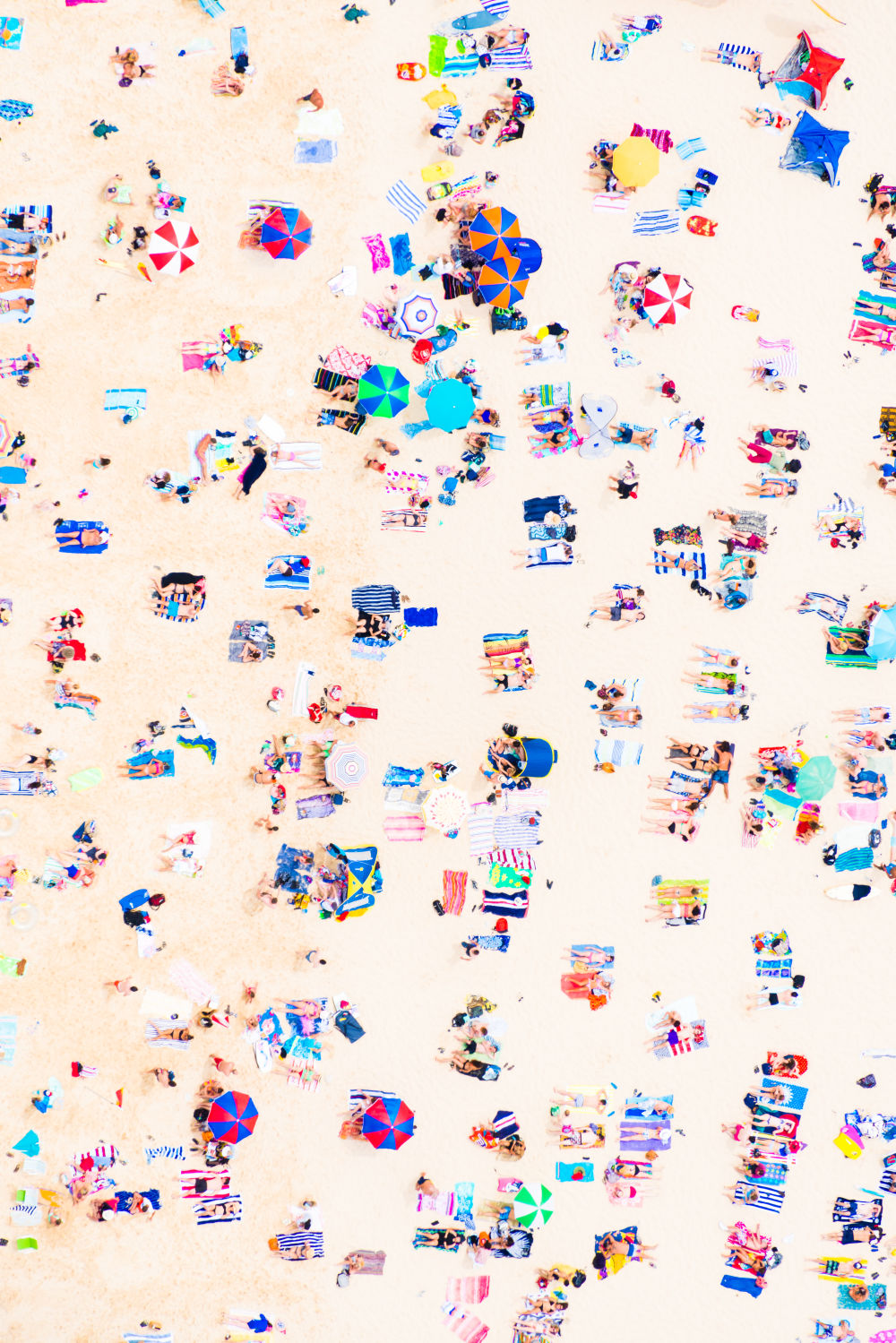 Bondi Beach Triptych | Gray Malin