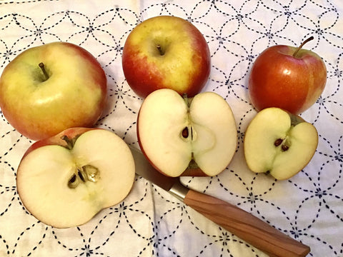 いろいろな種類のリンゴの断面