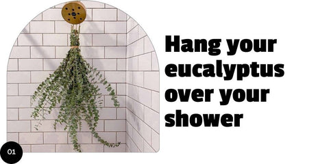 Tip: Hang eucalyptus over your shower