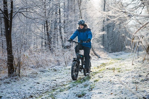 JOBOBIKE eddy rowerze elektrycznym fatbike