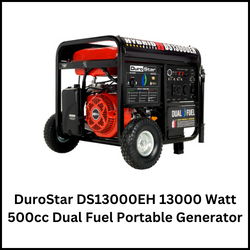 DuroStar DS13000EH 13000 Watt 500cc Dual Fuel Portable Generator