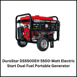 DuroStar DS5500EH 5500-Watt Electric Start Dual Fuel Portable Generator