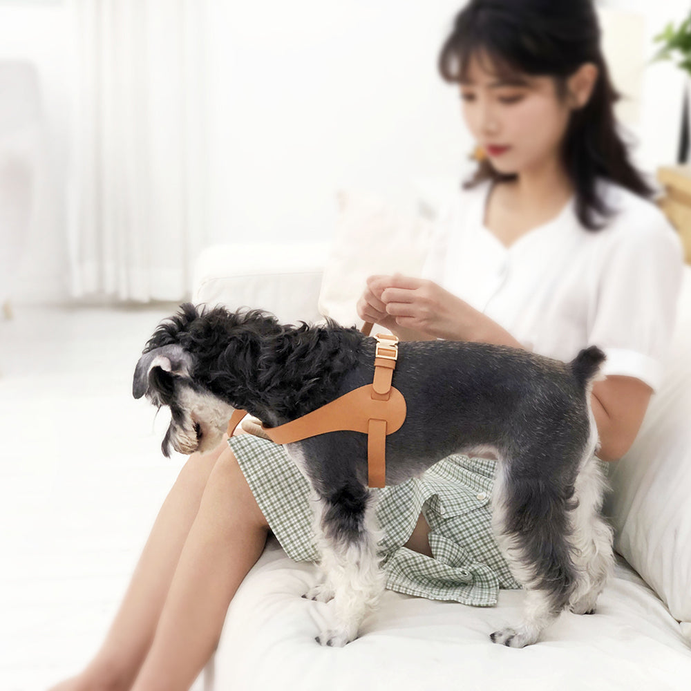 Designer Dog Accessories PU Leather Diamond Pattern Dogs Collars Adjustable  Size Collar And Leash Set Luxury Pet Supplies From Xinliang_qb, $8.05
