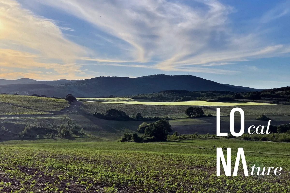 LONA LOcal NAture - произовдител на натурални продукти от местната природа