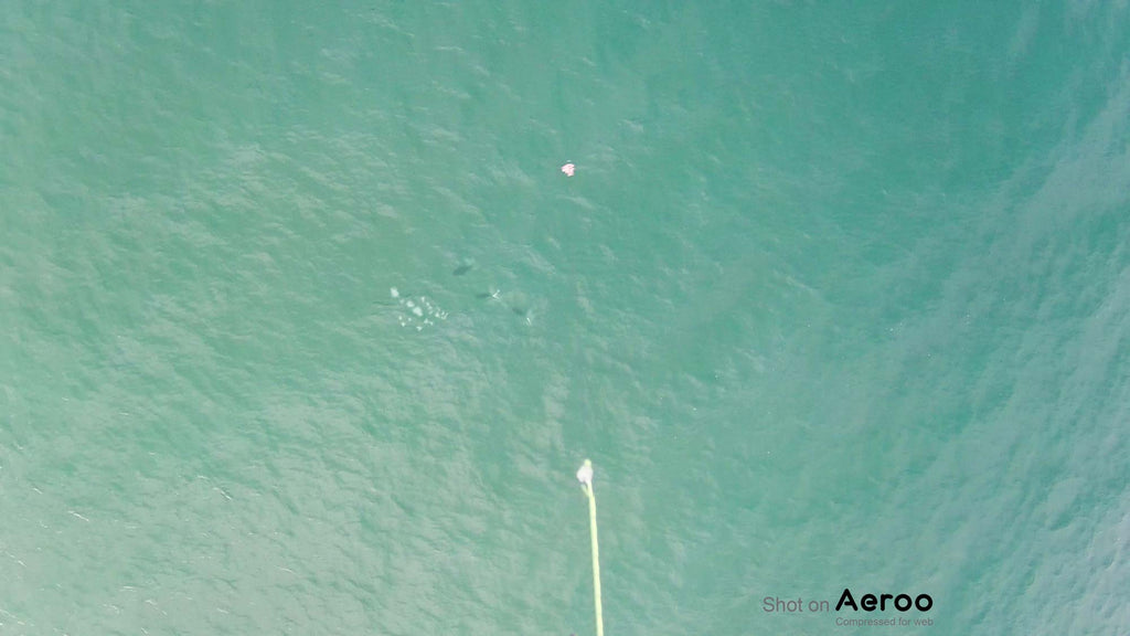 Drone fishing with Aeroo Fishing Drone