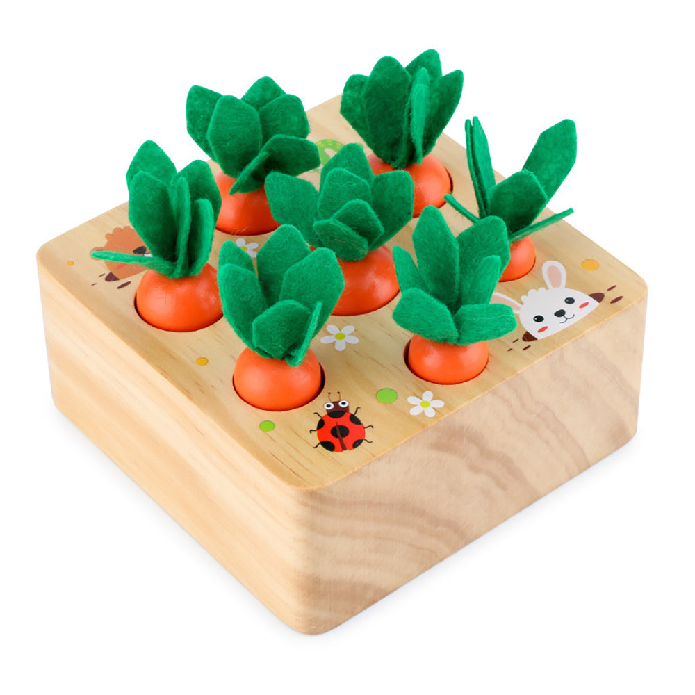 wooden carrot puzzle