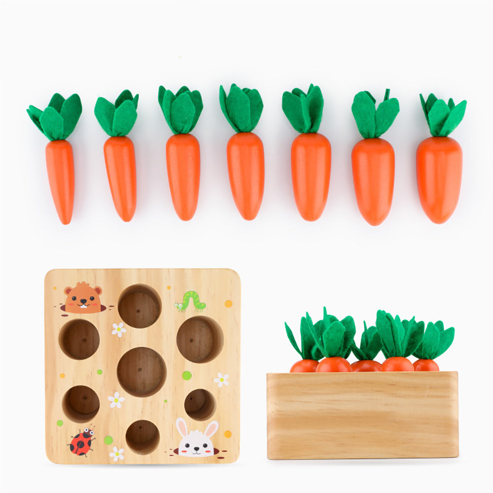 wooden carrot puzzle