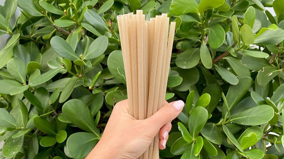 Unwrapped Biodegradable Straws, Made of Vegetable Fibers, Non-soggy, Long-Lasting, All-Natural, Eco-Friendly, Bio-Based & ASTM Approved, Best Alternative to Plastic & Paper Straws
