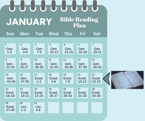 Bible Reading for January