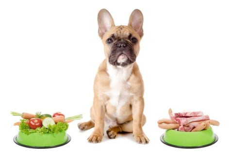 La comida vegana para perros correctamente suplementada es saludable y segura